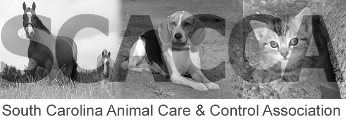 SCACCA BLACK AND WHITE