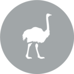 emu